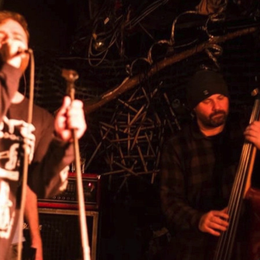Terry Adshade performing with upright bass player